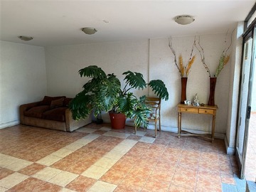 Imagen 6