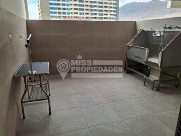 Imagen 13