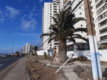 Arriendo Mensual / Departamento / Antofagasta