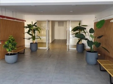 Imagen 9