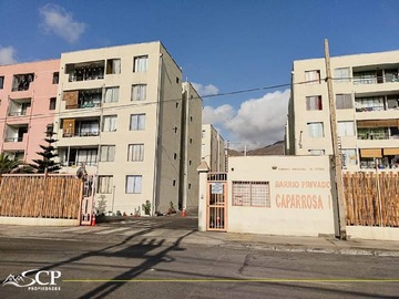 Imagen 11
