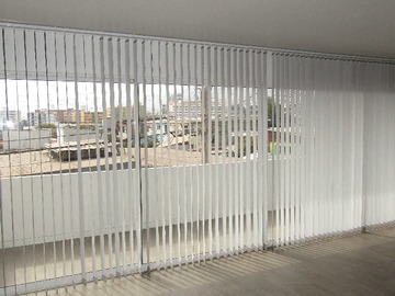 Imagen 7