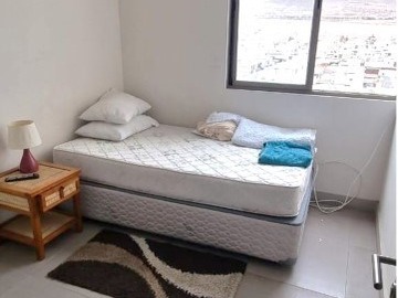 Imagen 15