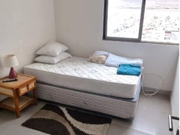 Imagen 13