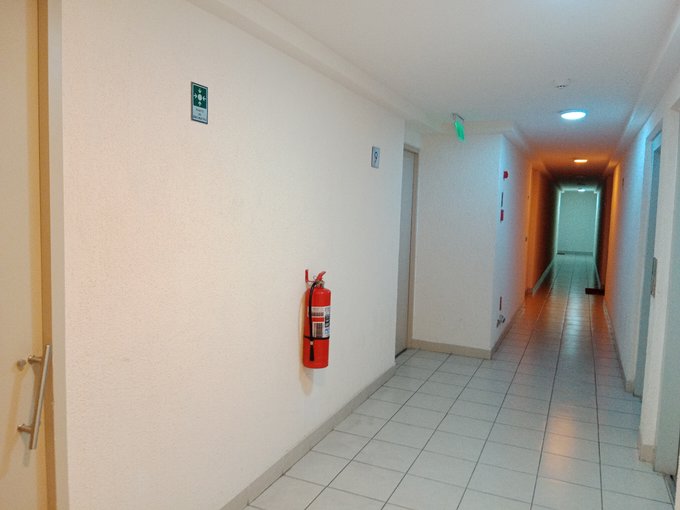 Escalas de seguridad y shaf de basura aislados