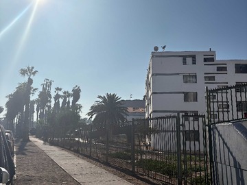 Arriendo Mensual / Departamento / Arica