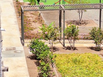 Imagen 9