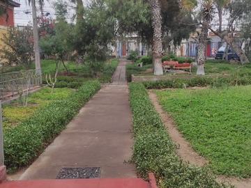Arriendo Mensual / Departamento / Arica
