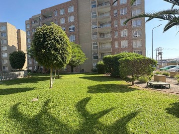 Imagen 15