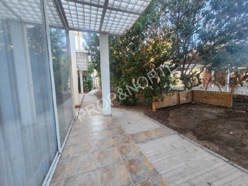 Imagen 8