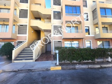 Imagen 12