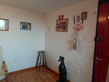 Imagen 11