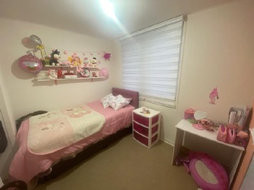 Imagen 5