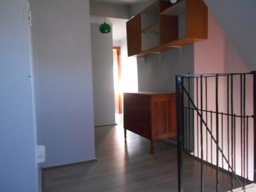 Imagen 5
