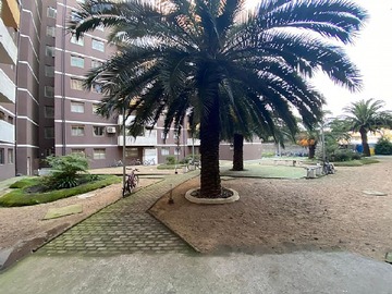 Imagen 17