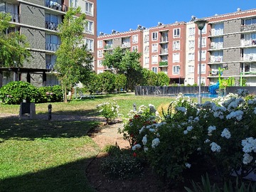Arriendo Mensual / Departamento / Chillán