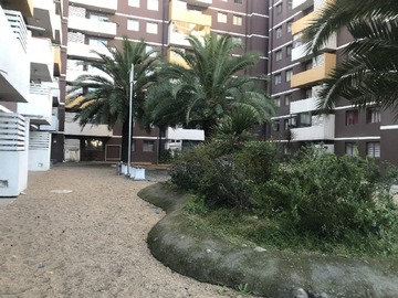 Arriendo Mensual / Departamento / Chillán