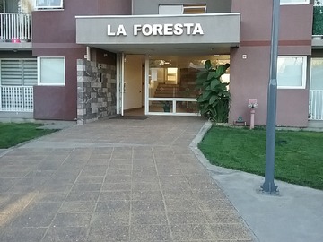 Imagen 15