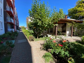 Arriendo Mensual / Departamento / Chillán
