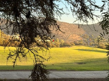 Imagen 22