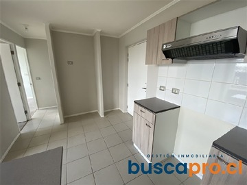 Imagen 8