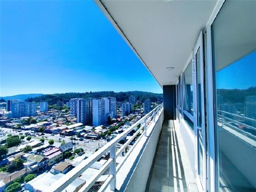 Imagen 6