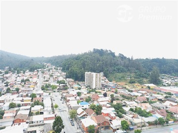 Imagen 10