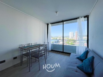 Imagen 7