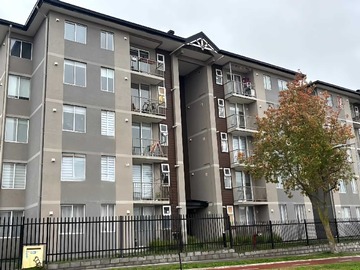 Arriendo Mensual / Departamento / Concepción