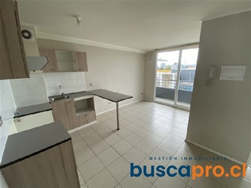 Arriendo Mensual / Departamento / Concepción