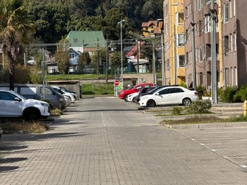 Imagen 5