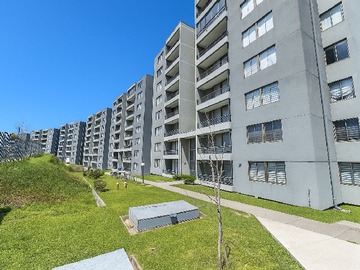 Arriendo Mensual / Departamento / Concepción
