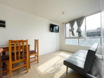 Arriendo Mensual / Departamento / Concepción