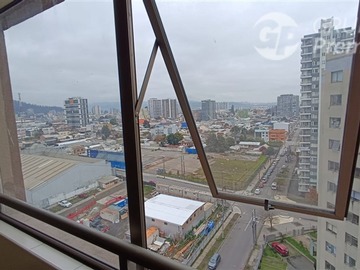 Imagen 11