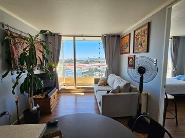 Arriendo Mensual / Departamento / Concepción