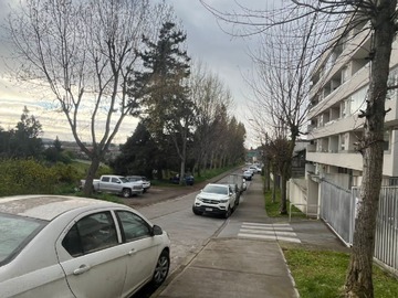 Imagen 15