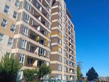 Imagen 19