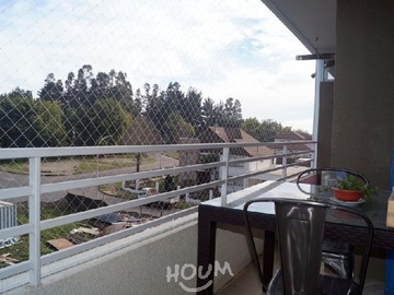Imagen 5