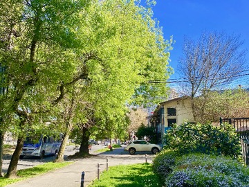 Arriendo Mensual / Departamento / Concepción