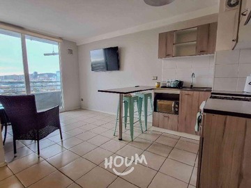 Arriendo Mensual / Departamento / Concepción