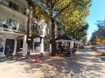 Arriendo Mensual / Departamento / Concepción