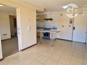 Arriendo Mensual / Departamento / Concepción