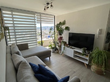 Arriendo Mensual / Departamento / Concepción