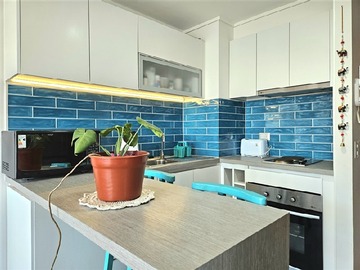 Arriendo Mensual / Departamento / Concepción