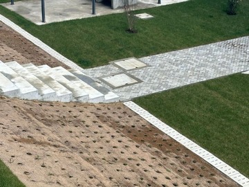 Imagen 11