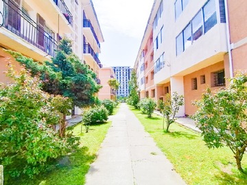 Arriendo Mensual / Departamento / Concepción