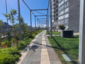 Arriendo Mensual / Departamento / Concepción