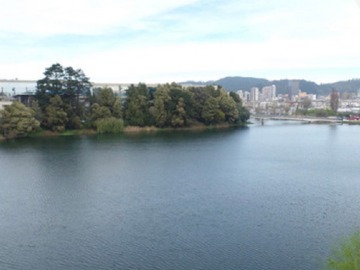 Arriendo Mensual / Departamento / Concepción