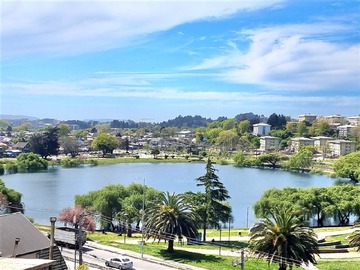 Arriendo Mensual / Departamento / Concepción