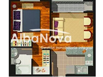 Imagen 5